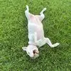 Melissa Millan - @melissa.millan17 - TikTok