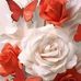 Melissa Millet - Facebook