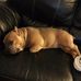 Melissa Minix - Facebook