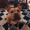 Melissa Molitor - @melrock1788 - TikTok