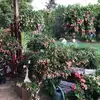 Melissa Mower - @melissa.mower - TikTok