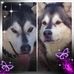 Melissa Murata - Facebook