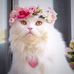 Melissa Nagle - Facebook