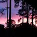 Melissa Nagle - Facebook