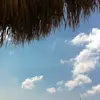 melissaanagle - @melissaanagle - TikTok