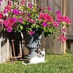 Melissa Nally Unger - @unger.melissa - Instagram
