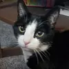 Melissa Nick - @melissa.nick6 - TikTok