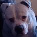Melissa Nickless - Facebook