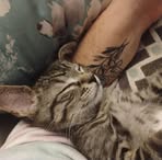 Mélissa Nolin - Facebook