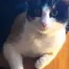 Melissa Ann Nuss - @melissanuss - TikTok