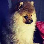 Melistova - @melissa.nuss1 - Instagram