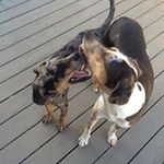 Melissa Oakley - @moakley149 - Instagram