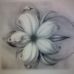 Melissa Ogg - Facebook