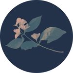 Melissa Olson | Penflora - @penflora_designs - Instagram
