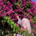 Aryam Melissa - Facebook