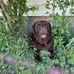 Melissa Orum - Facebook