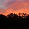 melissapane01 - @melissapane01 - TikTok