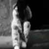 Meli🤍 - @melissapantoja24 - TikTok