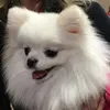 Melissa Patel - @melissa_patel0518 - TikTok