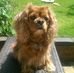 Melissa Pearsall - Facebook