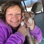 Melissa Peddle - @mapmel68 - Instagram
