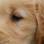 Melissa Eagar Peebles - @melissa.peebles.58 - Instagram