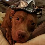 Melissa Peebles Pittman - @2lostinmyhead - Instagram