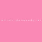 Melissa Perillo-Friscia - @melrose_photography_inc - Instagram