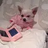 melissapetzy - @melissapetzy - TikTok