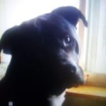 Melissa Pharr - @pharr109 - Instagram