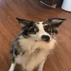 melissappilon1 - @melissappilon - TikTok