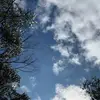 melissa_pinilla - @melissa_pinilla - TikTok