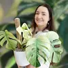Melissa - @plantsbymelissa - TikTok