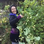 Melissa Honeybee Plotkin - @bee.blessed.botanicals - Instagram