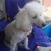 Melissa Plumley - Facebook