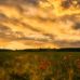 Melissa Prohaska - Facebook