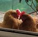 Melissa Prout - Facebook