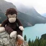 Melissa Prout - @prout299 - Instagram