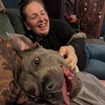 Melissa Rabold Reynolds - @sewyouinc - Instagram