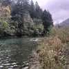Melissa Radcliffe - @melissa.radcliffe - TikTok