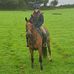 Mel Reeve - Facebook