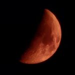 Melissa Renfro-Abrao - @mara_photography_oregon - Instagram