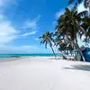 melissarenwick531 - @melissarenwick531 - TikTok
