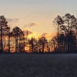 Melissa Resch - @freestonefarmmn - Instagram