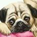Melissa Retty - Facebook