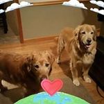 Melissa Ringer - @melissa.ringer.750 - Instagram