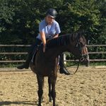 melissaringers - @horsesbymelissa - Instagram