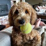 Melissa Ward Rinker - @melissawardrinker - Instagram