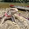 melissarippyvicto - @melissarippyvicto - TikTok