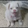 melisarivero0 - @melissarivero0 - TikTok